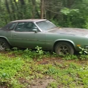 Meet your Posher, Benjamin